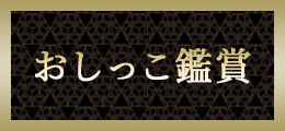 町田 おしっこ鑑賞【熟女の風俗最終章 町田店】