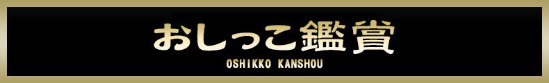 町田 おしっこ鑑賞【熟女の風俗最終章 町田店】